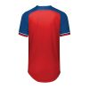 311gyteBF0L.jpg Men's Classic V-Neck Baseball Jersey: Vintage Appeal, with Dri-Power Moisture-Wicking