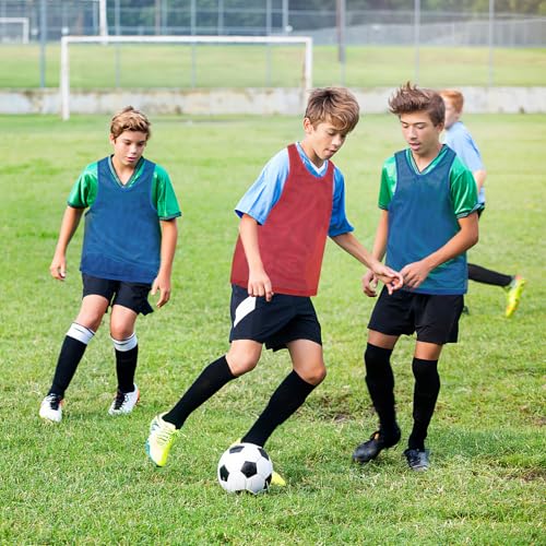 51lumPglZSL.jpg Pinnies, 12 Pcs Soccer Pinnies, Mesh Practice Jersey Scrimmage Vest Team Soccer Pennies for Sports Adult/Youth Lightweight