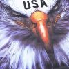 615SFWAvpLL.jpg Adult American Flag Patriotic Baseball Jerseys Style Shirts for Men USA Eagle Outfits